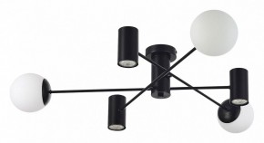 Потолочная люстра EVOLUCE Raito SLE1105-402-06 в Когалыме - kogalym.mebel24.online | фото 2