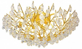Потолочная люстра Favourite Pluvia 4162-10C в Когалыме - kogalym.mebel24.online | фото 2