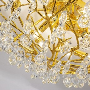 Потолочная люстра Favourite Pluvia 4162-10C в Когалыме - kogalym.mebel24.online | фото 5