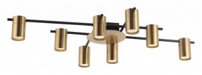 Потолочная люстра Favourite Topper 2827-8P в Когалыме - kogalym.mebel24.online | фото 2