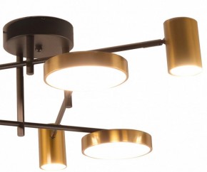 Потолочная люстра Kink Light Рапис 07645-6D,19(20) в Когалыме - kogalym.mebel24.online | фото 2