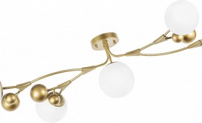 Потолочная люстра Lightstar Croco 815553 в Когалыме - kogalym.mebel24.online | фото 6