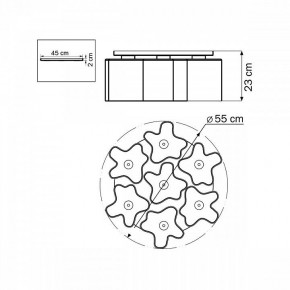 Потолочная люстра Lightstar Nubi 802070 в Когалыме - kogalym.mebel24.online | фото 6