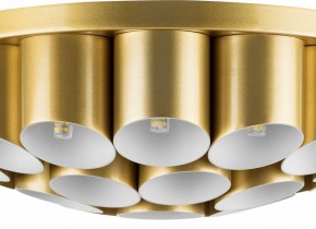 Потолочная люстра Lightstar Siena 720222 в Когалыме - kogalym.mebel24.online | фото 3