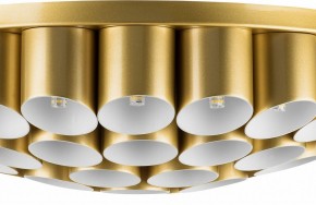 Потолочная люстра Lightstar Siena 720402 в Когалыме - kogalym.mebel24.online | фото 3