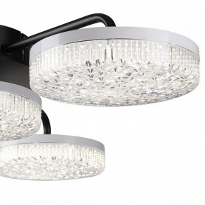 Потолочная люстра Lumion Didana 8236/4CL в Когалыме - kogalym.mebel24.online | фото 7