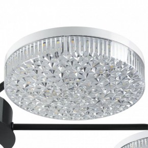 Потолочная люстра Lumion Didana 8236/7CL в Когалыме - kogalym.mebel24.online | фото 9