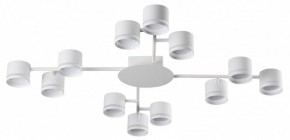 Потолочная люстра Lumion Gareta 8235/12C в Когалыме - kogalym.mebel24.online | фото
