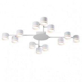 Потолочная люстра Lumion Gareta 8235/12C в Когалыме - kogalym.mebel24.online | фото 2