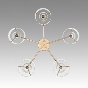 Потолочная люстра Lumion Verdi 6587/5C в Когалыме - kogalym.mebel24.online | фото 4