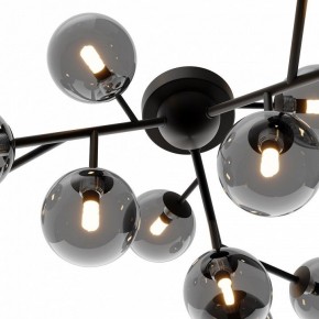 Потолочная люстра Maytoni Dallas MOD545CL-12B в Когалыме - kogalym.mebel24.online | фото 3