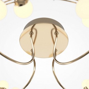 Потолочная люстра Maytoni Tessara MOD081CL-L36G3K в Когалыме - kogalym.mebel24.online | фото 4