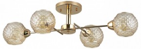 Потолочная люстра Rivoli Amalia Б0050815 в Когалыме - kogalym.mebel24.online | фото