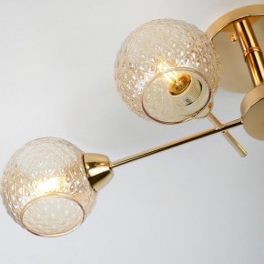 Потолочная люстра Rivoli Amalia Б0050815 в Когалыме - kogalym.mebel24.online | фото 8