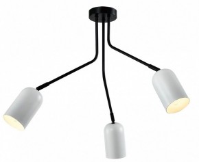 Потолочная люстра Rivoli Rosalinda Б0064987 в Когалыме - kogalym.mebel24.online | фото 2