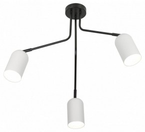Потолочная люстра Rivoli Rosalinda Б0064987 в Когалыме - kogalym.mebel24.online | фото 4