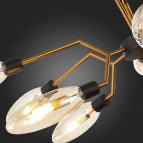 Потолочная люстра ST-Luce Desima SL1174.303.12 в Когалыме - kogalym.mebel24.online | фото 10