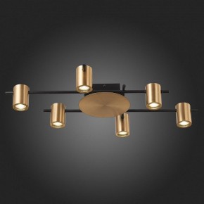 Потолочная люстра ST-Luce Veroli SL1207.402.06 в Когалыме - kogalym.mebel24.online | фото 6