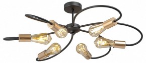 Потолочная люстра Vitaluce V3076 V3076-1/6PL в Когалыме - kogalym.mebel24.online | фото 3
