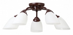 Потолочная люстра Vitaluce V3184 V3252/5PL в Когалыме - kogalym.mebel24.online | фото