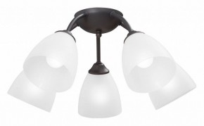 Потолочная люстра Vitaluce V3184 V3737-2/5PL в Когалыме - kogalym.mebel24.online | фото