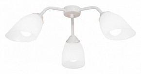 Потолочная люстра Vitaluce V31950 V31950/3PL в Когалыме - kogalym.mebel24.online | фото