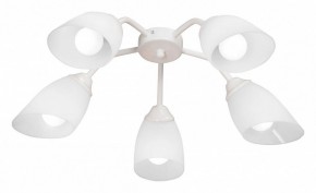Потолочная люстра Vitaluce V31950 V31950/5PL в Когалыме - kogalym.mebel24.online | фото