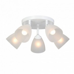 Потолочная люстра Vitaluce V4355 V4355-0/5PL в Когалыме - kogalym.mebel24.online | фото 2
