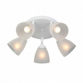 Потолочная люстра Vitaluce V4355 V4355-0/5PL в Когалыме - kogalym.mebel24.online | фото 3