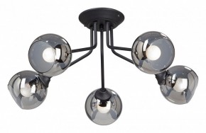 Потолочная люстра Vitaluce  V4724-1/5PL в Когалыме - kogalym.mebel24.online | фото