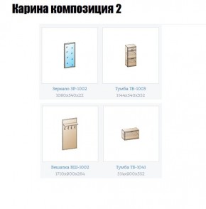 Прихожая Карина (модульная) в Когалыме - kogalym.mebel24.online | фото 6