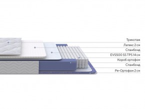 PROxSON Матрас Active Duo S/F (Ткань Трикотаж Эко) 90x195 в Когалыме - kogalym.mebel24.online | фото 2