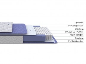 PROxSON Матрас Active F (Ткань Трикотаж Эко) 80x190 в Когалыме - kogalym.mebel24.online | фото 2