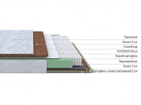 PROxSON Матрас Green Duo M/F (Tricotage Dream) 120x190 в Когалыме - kogalym.mebel24.online | фото 2