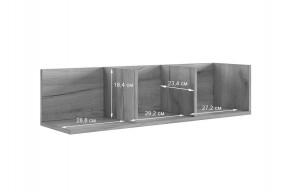 РИЧ Полка навесная 2 в Когалыме - kogalym.mebel24.online | фото 3