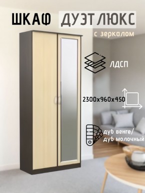 Шкаф 2-х створчатый Дуэт Люкс с зеркалом в Когалыме - kogalym.mebel24.online | фото