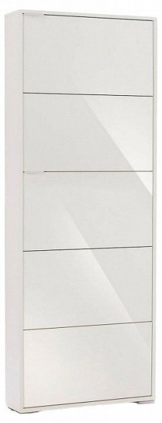 Шкаф для обуви Viva-5S в Когалыме - kogalym.mebel24.online | фото