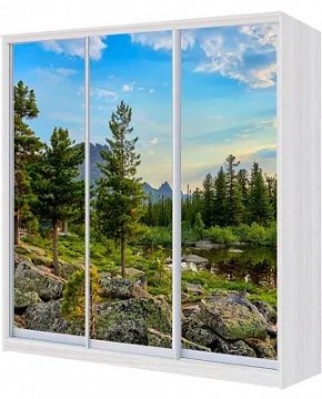 Шкаф-купе ХИТ 22-18-777 ПРИРОДА в Когалыме - kogalym.mebel24.online | фото