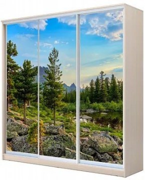 Шкаф-купе ХИТ 22-20-777 ПРИРОДА в Когалыме - kogalym.mebel24.online | фото