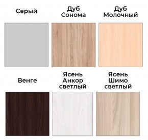 Шкаф-купе ХИТ 22-4-14-11 (420) в Когалыме - kogalym.mebel24.online | фото 5