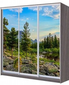 Шкаф-купе ХИТ 22-4-20/2-777 ПРИРОДА в Когалыме - kogalym.mebel24.online | фото