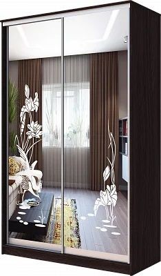 Шкаф-купе ХИТ 23-15-66 ЦАПЛИ в Когалыме - kogalym.mebel24.online | фото