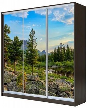 Шкаф-купе ХИТ 23-4-18/2-777 ПРИРОДА в Когалыме - kogalym.mebel24.online | фото