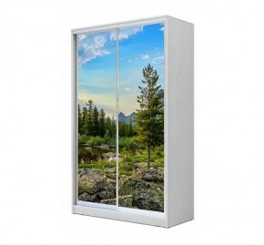 Шкаф-купе ХИТ 24-12/2-77 (620) в Когалыме - kogalym.mebel24.online | фото