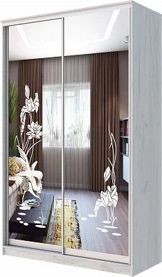 Шкаф-купе ХИТ 24-14-66 ЦАПЛИ в Когалыме - kogalym.mebel24.online | фото