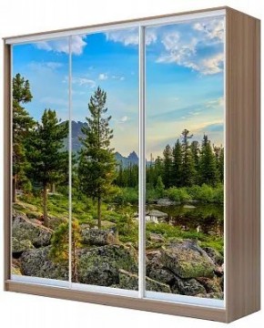 Шкаф-купе ХИТ 24-20/2-777 ПРИРОДА в Когалыме - kogalym.mebel24.online | фото