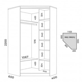 Шкаф-купе ХИТ-У-L-22-64-55 в Когалыме - kogalym.mebel24.online | фото 2