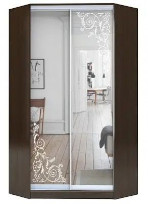 Шкаф-купе ХИТ-У-L-23-64-66 ОРНАМЕНТ в Когалыме - kogalym.mebel24.online | фото