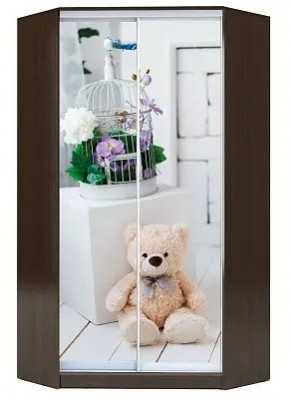 Шкаф-купе ХИТ-У-R-22-64-77 МИШКА В ИНТЕРЬЕРЕ в Когалыме - kogalym.mebel24.online | фото
