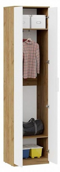 Шкаф платяной Хилтон Исп. 2 в Когалыме - kogalym.mebel24.online | фото 3